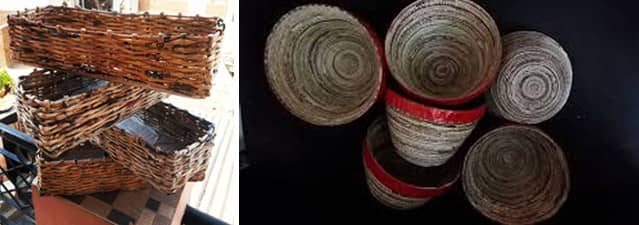 SASHA World Environment Day June 2018