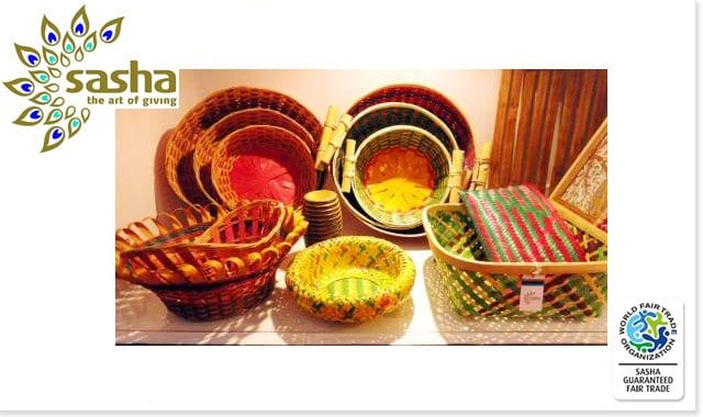 SASHA banner July 2016