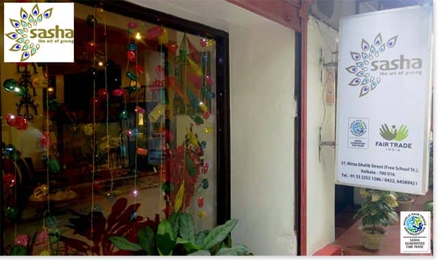 SASHA banner November 2016