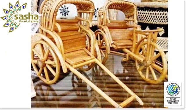 SASHA banner August 2017