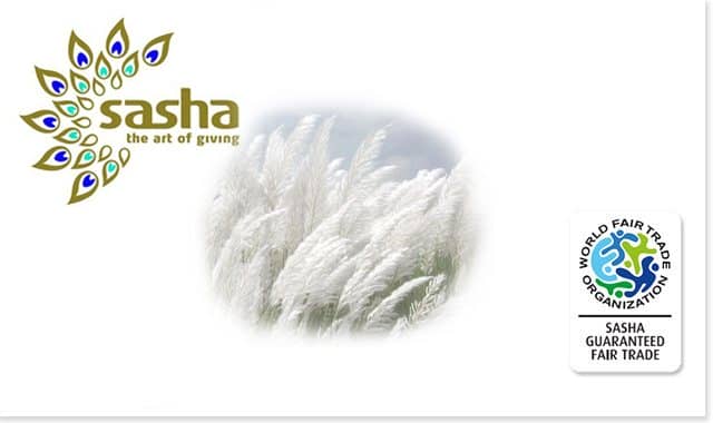 SASHA banner October 2015