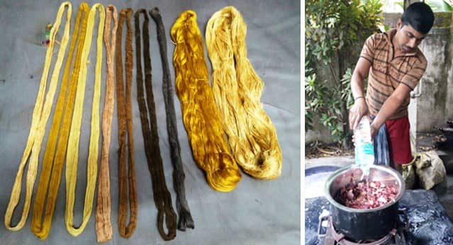 SASHA training and workshops Fulia January 2018