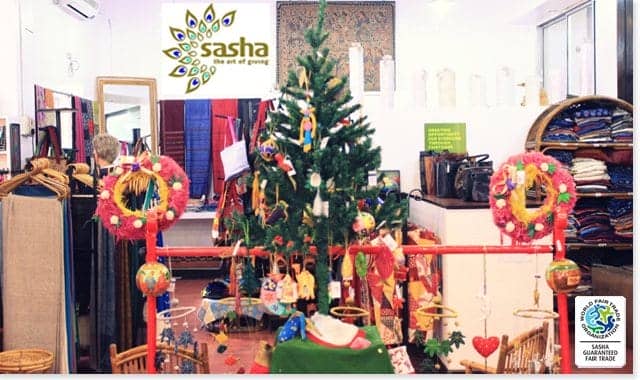 SASHA January 2016 banner