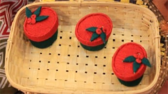 SASHA lore to fest Christmas January 2016