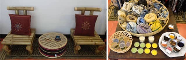 SASHA world environment day July 2017