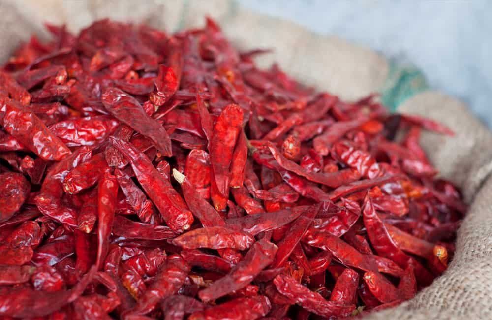 Dried chillies used in production of RASA natural spice products