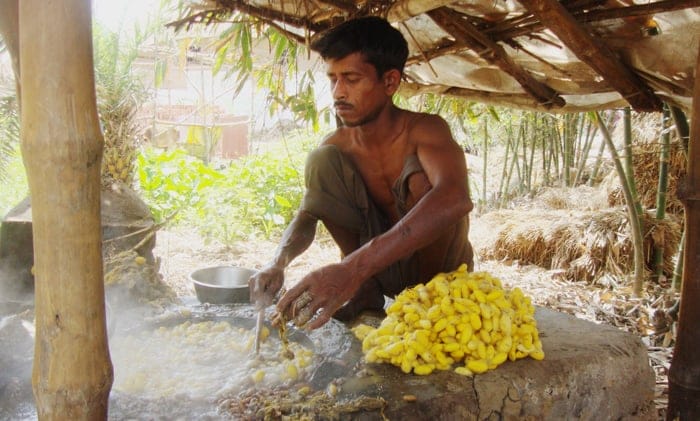 Artisan heating silk cocoons