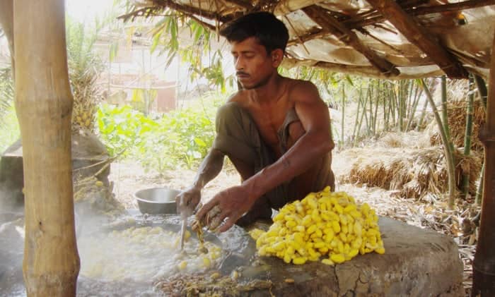 Artisan heating silk cocoons