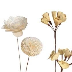 Shola Flowers created by Sasha